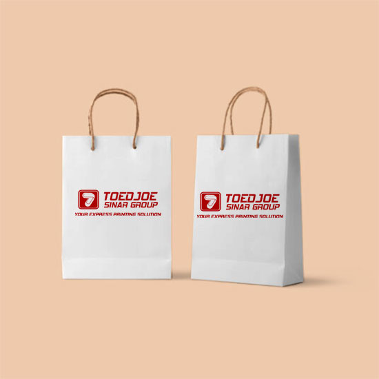 Paper Bag ( 20 x 30 x 6 )