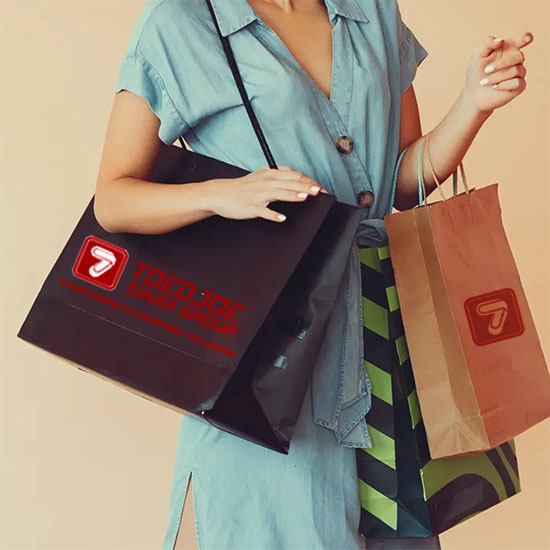 Paper Bag ( 20 x 30 x 6 )