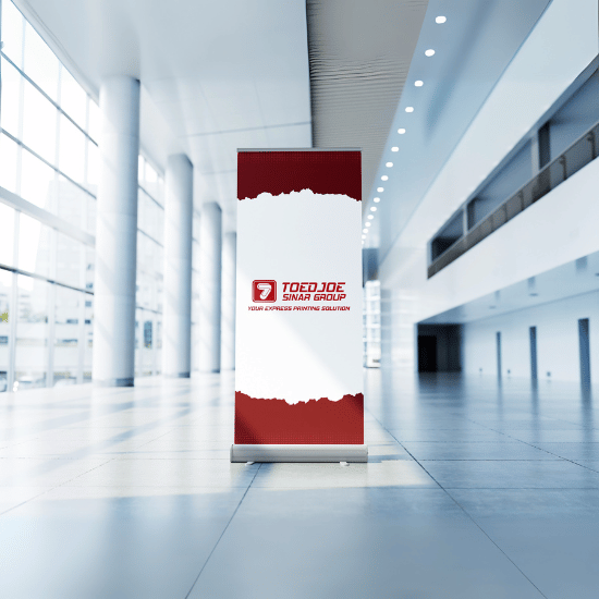 Paket Roll Banner + Albatros UK 160 x 60 
